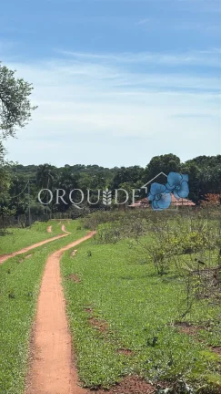 Fazenda à venda em Aparecida do Rio Doce-GO no bairro Setor Central com 10,00 alqueires de área