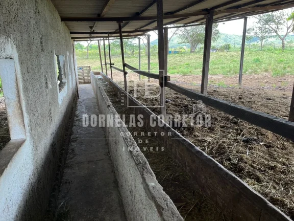 Imagem Fazenda Com 2 casas curral, açudes, poço, 7.500hc as margens da bar. tapacurá