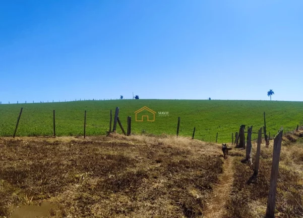 Imagem SITIO RURAL em PITANGA - PR, Rural