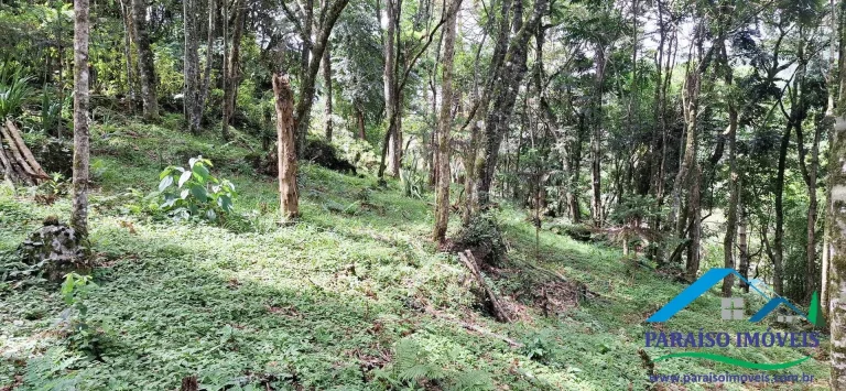 Imagem Mergulhe na Serenidade da Serra da Mantiqueira: Terreno com Cachoeira