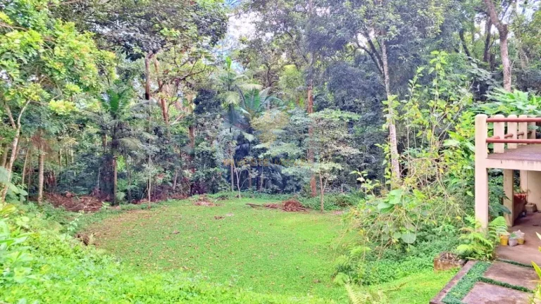 Imagem Casa com Terreno Amplo, Gourmet e Piscina na Granja Viana