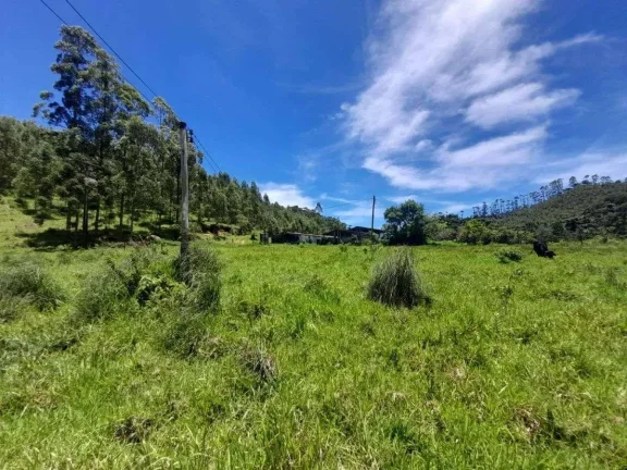 Imagem Fazenda à venda em Barbacena, Correia de Almeida, com 4 quartos, 53ha