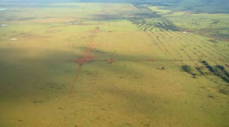 Imagem Fazenda em Mato Grosso - 103.000hec