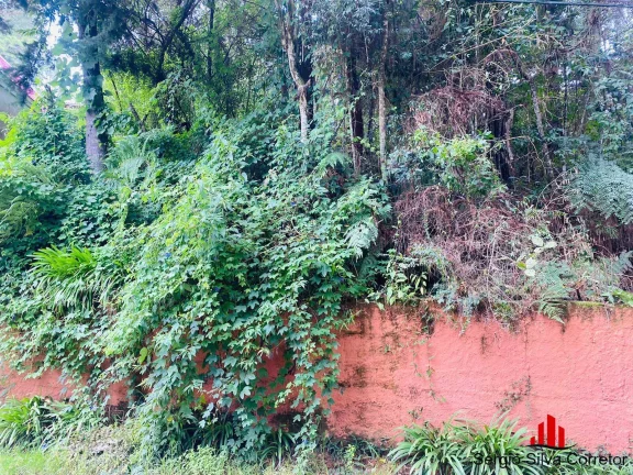 Imagem Terreno a Venda na Região do Vila Inglesa Campos do Jordão- SP.