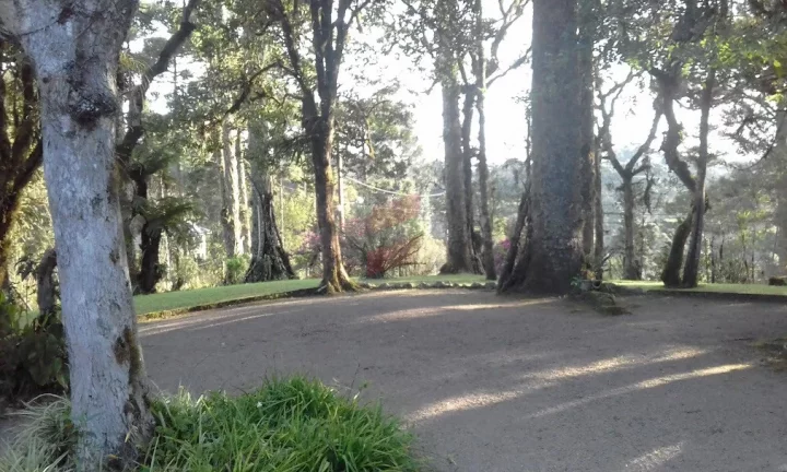 Imagem CHÁCARA com 3 dormitórios à venda com 5000m² por R$ 1.690.000,00 no bairro Vila Franca - PIRAQUARA / PR