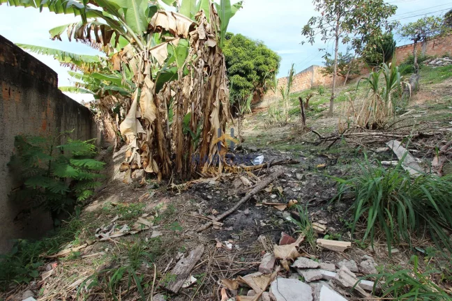 Imagem Lote no bairro Palmares 1ª seção - Ibirité/MG.