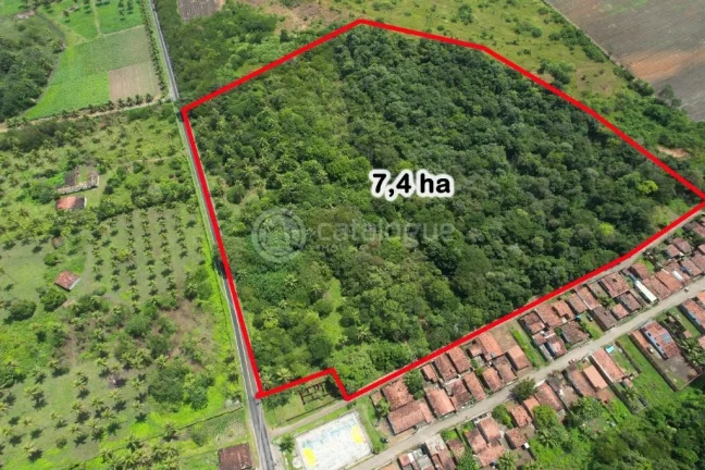 Imagem Área à Venda - Nísia Floresta / RN - 12,1 Ha