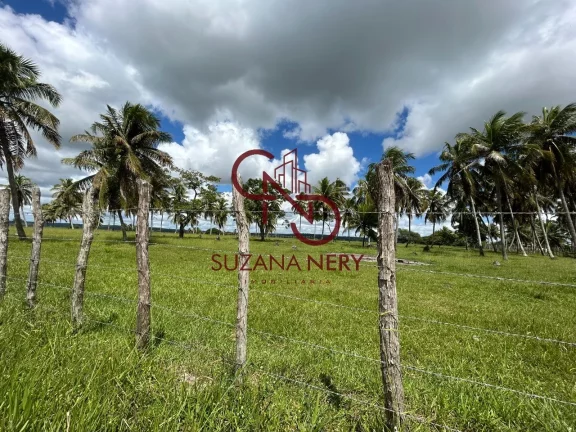 Imagem Fazenda residencial á venda em Nísia Floresta com 37 hectares