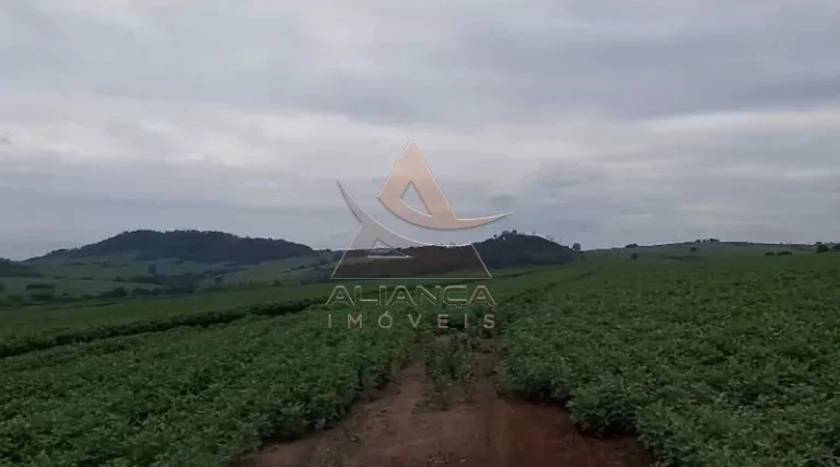 Imagem Fazenda - Casa Branca - Zona Rural