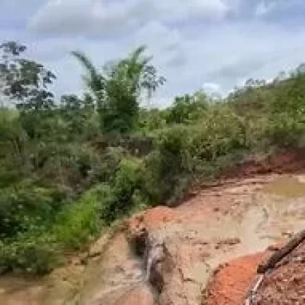 Imagem Fazenda à venda em Presidente Olegário – 58 hectares planos, mecanizáveis e com água