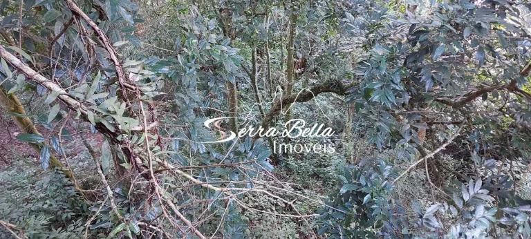 Imagem Terreno em Golfe, Teresópolis/RJ