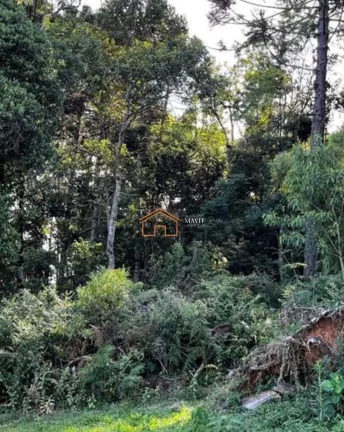 Imagem CHACARA RURAL em SÃO JOSÉ DO CERRITO - SC, próximo ao centro