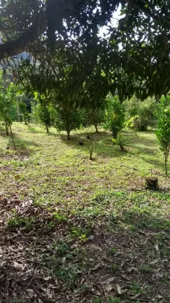 Imagem Vendo esta linda chácara em Nova Friburgo com 15.000m2.