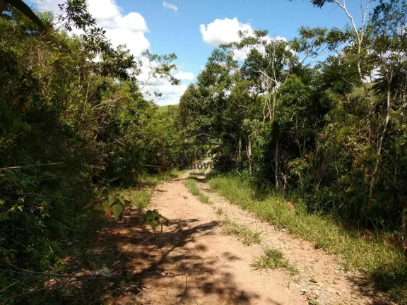 Imagem Sítio à venda no bairro Rocinha - Guaratinguetá/SP