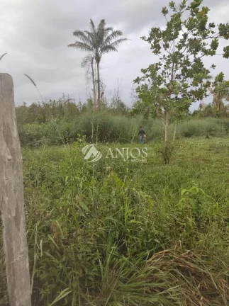 Imagem Oportunidade Chácara Quitada a apenas 45 km de SINOP - MT