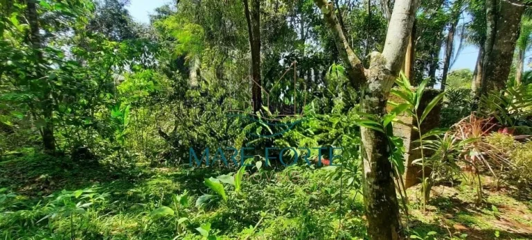 Imagem Terreno na Ponta das Toninhas