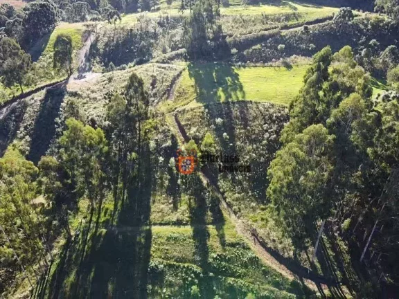 Imagem Sítio à venda, 200000 m² por R$ 2.500.000 - Rio do Engano - Urubici/SC