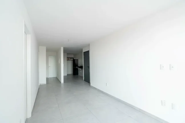 Imagem Corais do Atlântico