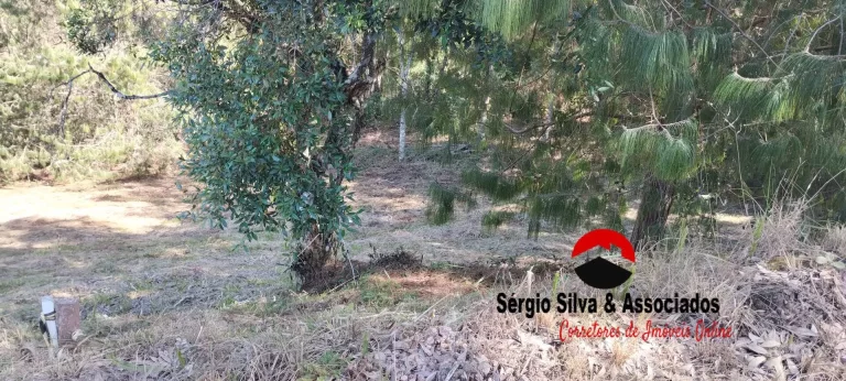 Imagem Terreno a Venda na Região do Alto da Boa Vista Campos do Jordão -SP.