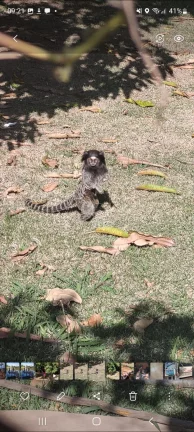 Imagem Excelente chácara em Itupeva