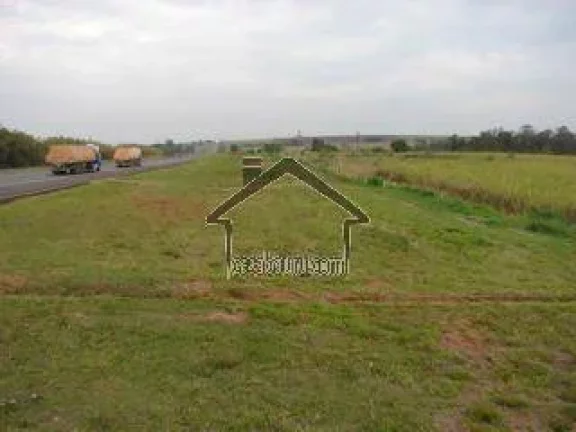 Imagem Vende Sitio Rodovia Castelo Branco