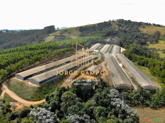 Imagem GA-26288 - VENDA DE GRANJA AUTOMATIZADA DE FRANGO EM BRAGANÇA PAULISTA-SP