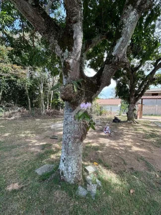 Imagem Sítio à venda de cinema por R$ 2.000.000 - Córrego Sete - Vila Velha/ES