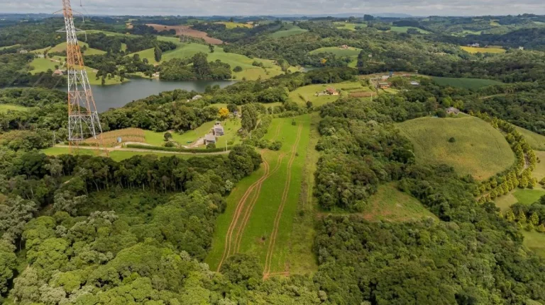 Imagem Área 15000m2 frente para Represa do Passaúna