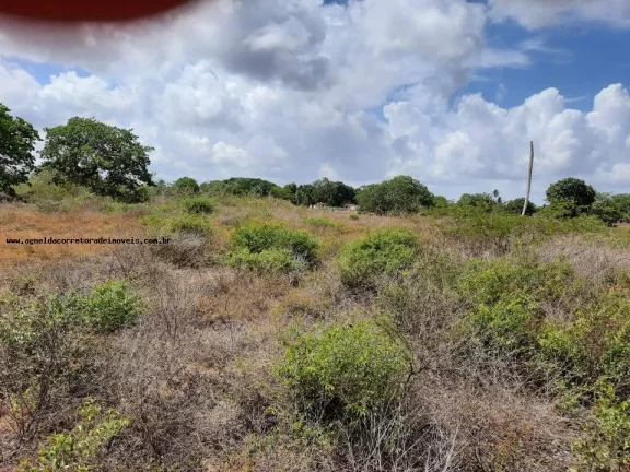 Imagem Granja para Venda em Macaíba, Centro, 2 dormitórios, 3 banheiros, 9 vagas