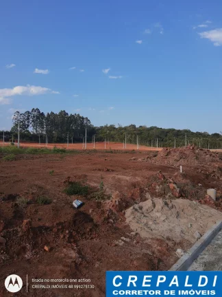 Imagem Venda de Lote, Terreno em Criciúma