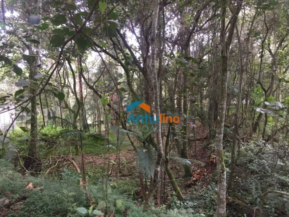 Imagem Terreno à venda, 1571 m² por R$ 450.000,00 - Chácara Represinha - Cotia/SP
