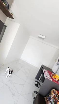 Imagem Aparamento Maravilhoso 66m² Condomínio Vivence com 3 Dormitorios