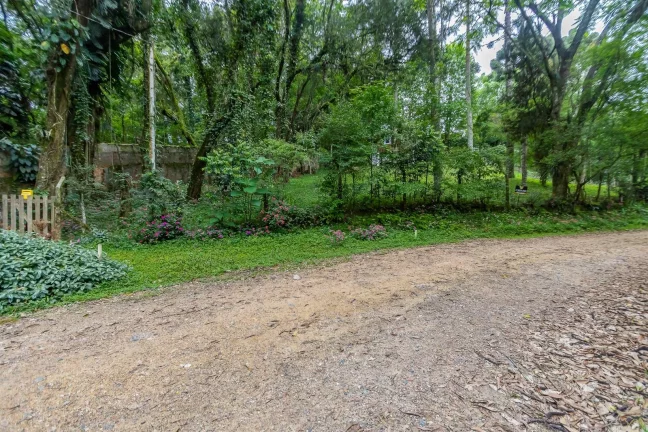 Imagem Terreno 745m2 rua sem saída Santa Felicidade