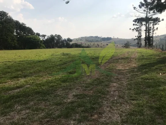 Imagem Fazenda Magnífica em Piracaia: Um Refúgio de Luxo em Meio à Natureza