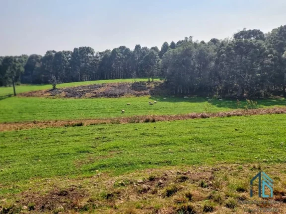 Imagem Sítio/Chácara a venda com 33 hectares bem localizado no interior de São Joaquim - SC