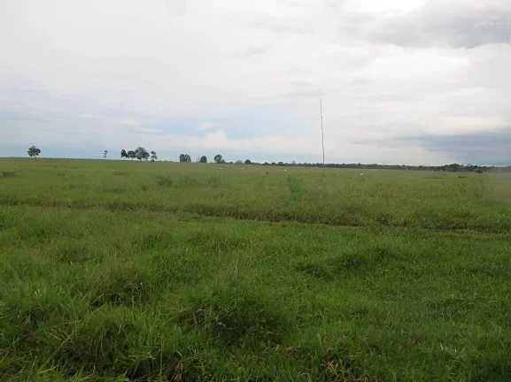 Imagem Fazenda a venda em Pontes e Lacerda - MT