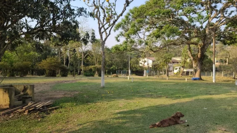 Imagem Chácara com 4 dormitórios à venda, 40000 m² por R$ 1.250.000,00 - Quinta Divisão - Suzano/SP