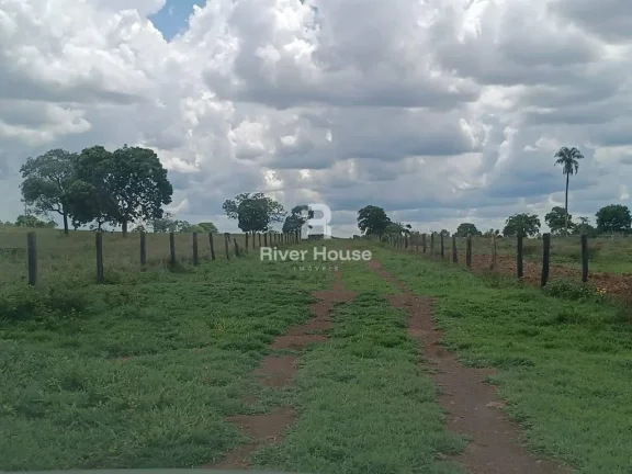 Imagem Fazenda a venda com 890 hectares Dupla aptidão na Região de Nossa senhora do Livramento Livramento MT