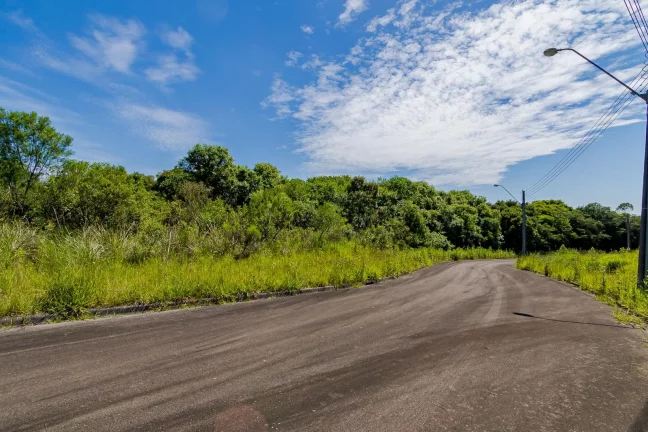 Imagem Terrenos em condomínio próximo ao Passauna