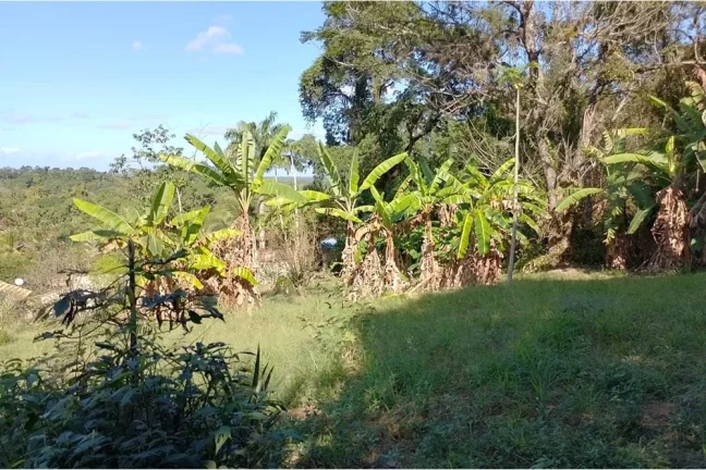 Imagem Terreno à Venda em Guaratiba