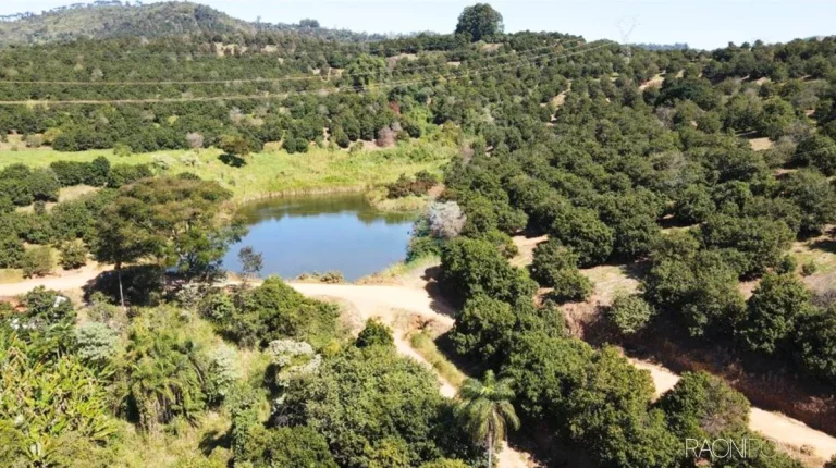 Imagem Fazenda à Venda, 6.220.000 m² em Zona Rural - São Sebastião Da Grama