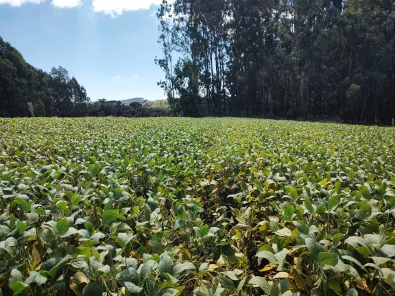 Imagem TERRENO RURAL em CAMPO BELO DO SUL - SC, Área Rural
