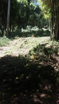 Imagem Vendo sítio/ Chácara, 12 Hectares em Alfredo Wagner SC.