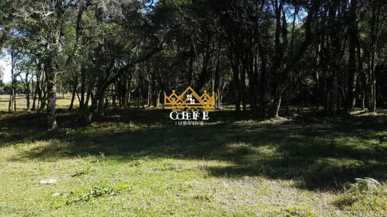 Imagem Chácara - Sítio localizado(a) no bairro Linha Bonita em Gramado / RIO GRANDE DO SUL Ref.:1406