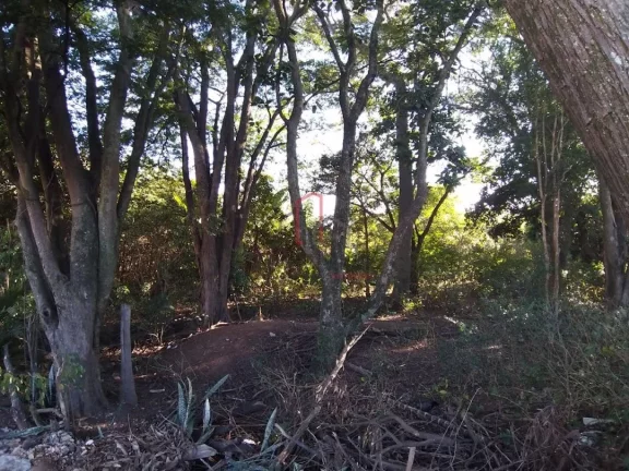 Imagem ÁREA PARA VENDA RESIDENCIAL NO BAIRRO JOÃO ARANHA, EM PAULÍNIA SP