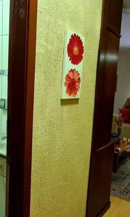 Imagem Terreno Comercial para Venda em Nova Friburgo, Mury, 2 dormitórios, 2 banheiros, 5 vagas