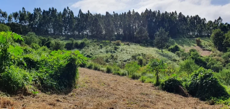 Imagem Sítio à venda em Piedade-SP, bairro Piedade, com 0,01 m² de área: oportunidade imperdível!