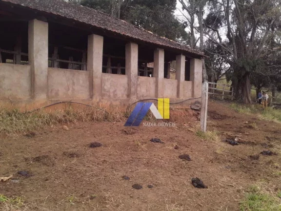 Imagem Fazenda à Venda, 246 m² em Algodão - Pouso Alegre