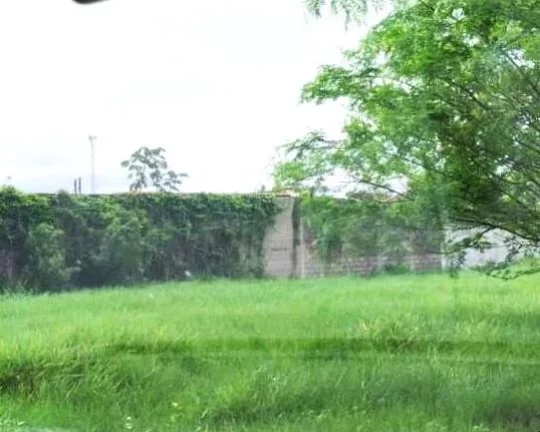 Imagem OPORTUNIDADE!!!!!!!! Terrenos à venda no Jardim Primavera- Iguape/SP