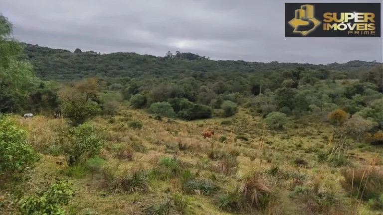 Imagem Fazenda para Venda em Centro Canguçu-RS - 2055
